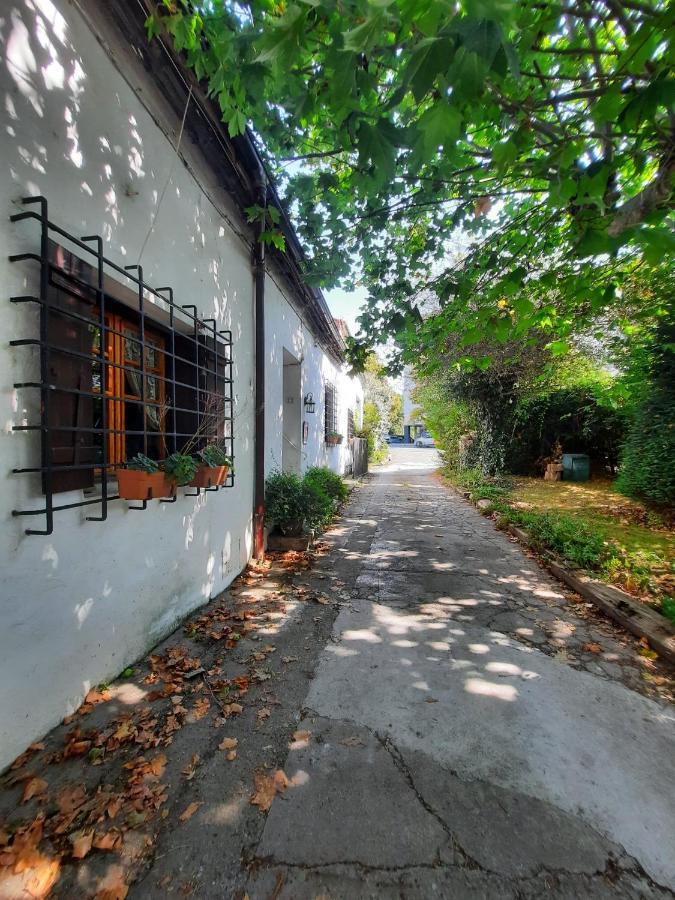 Errotazar Apartamento Rural K อัลซาซัว ภายนอก รูปภาพ